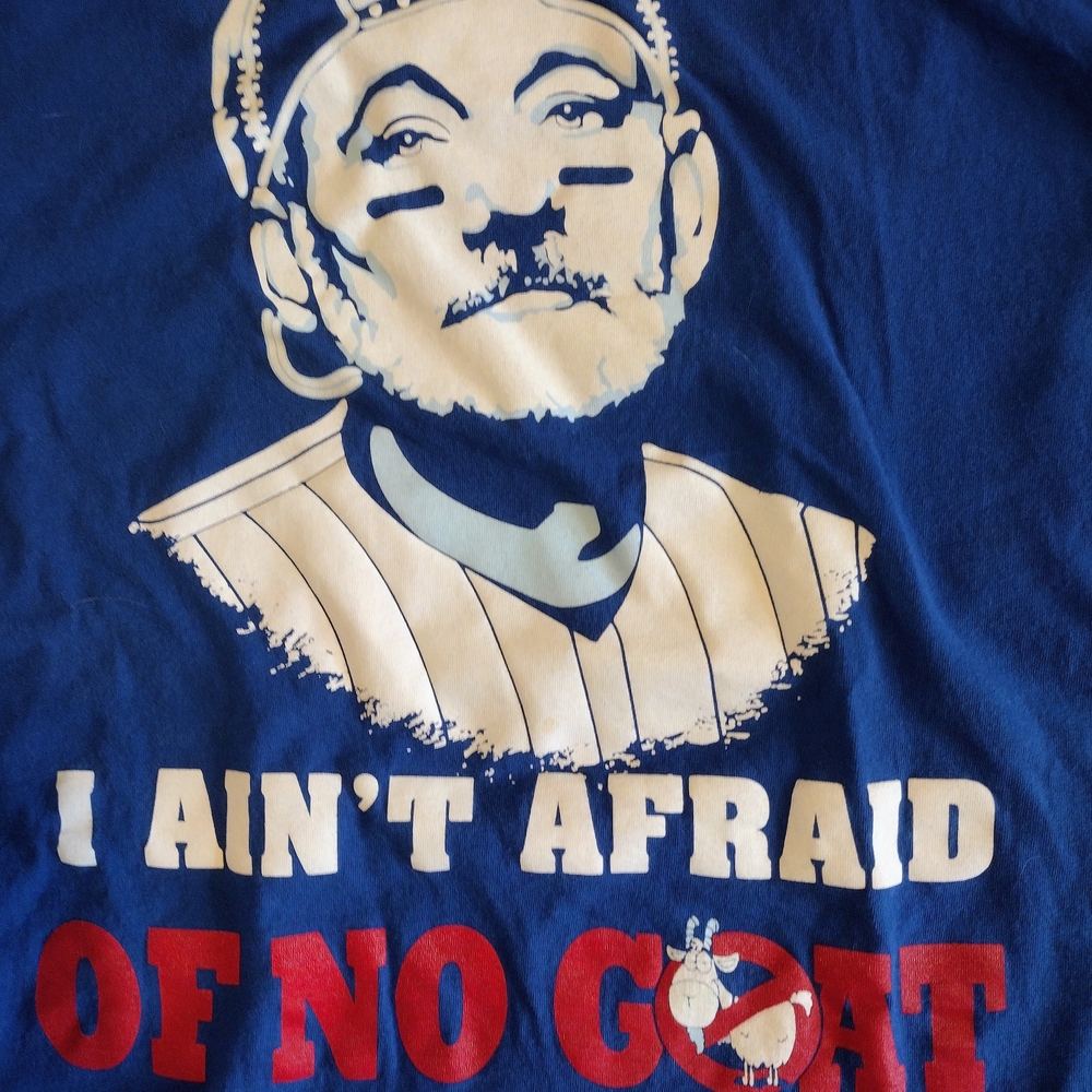 Fruit of the Loom Blue Graphic Tee